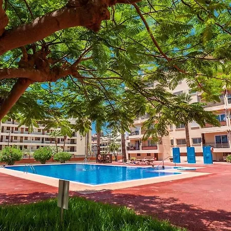 Tantul Crissol 211 Apto 1hab * Los Cristianos (Tenerife)